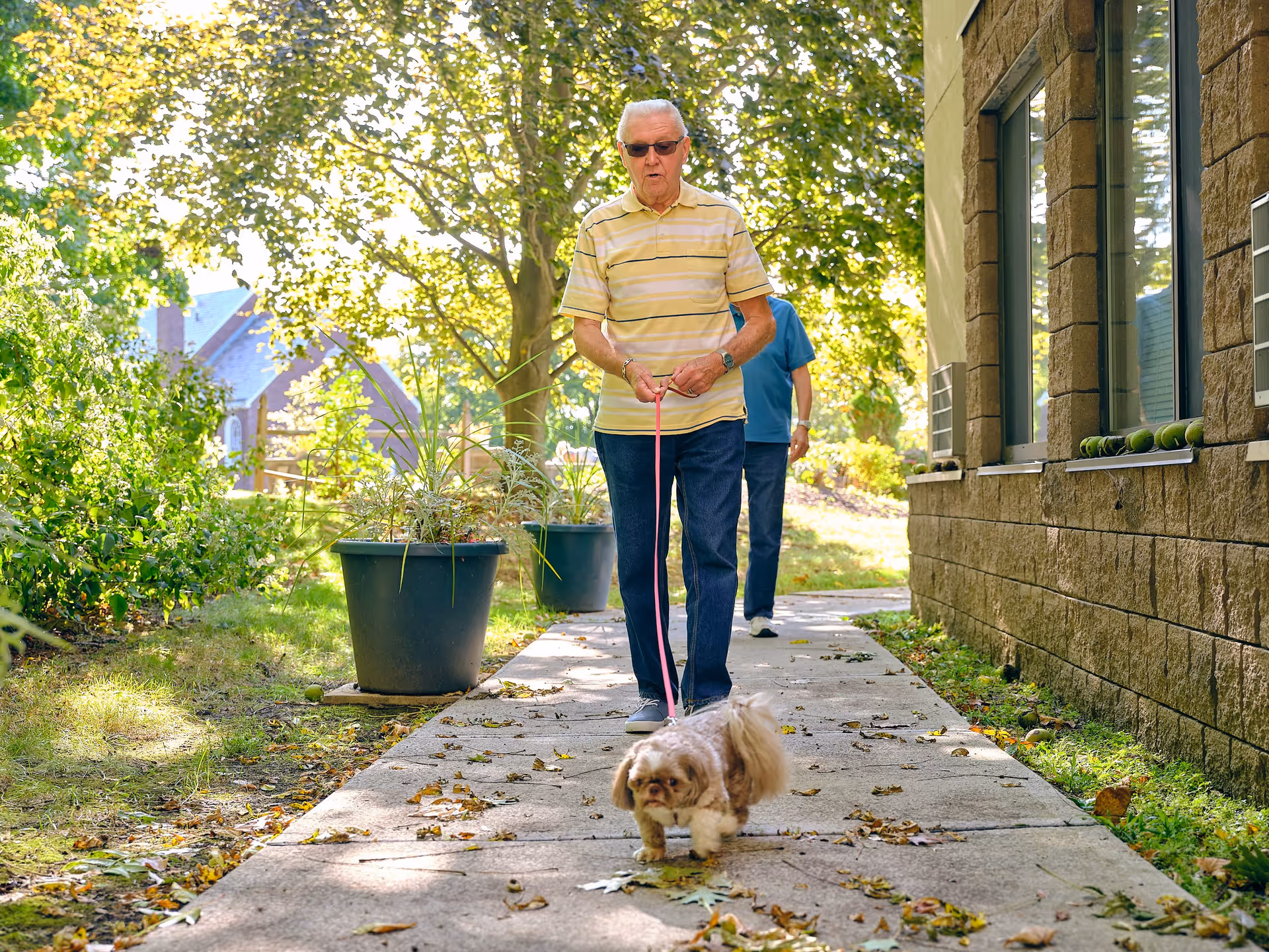 An elderly man wearing sunglasses and a striped yellow shirt walks a small dog on a leash along a shaded outdoor pathway next to a building. Another person follows behind him. The area is surrounded by greenery and trees with sunlight filtering through the leaves.