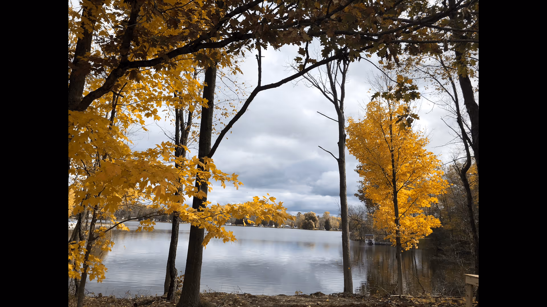 A serene lake scene with trees displaying bright yellow autumn leaves along the shoreline under a cloudy sky.