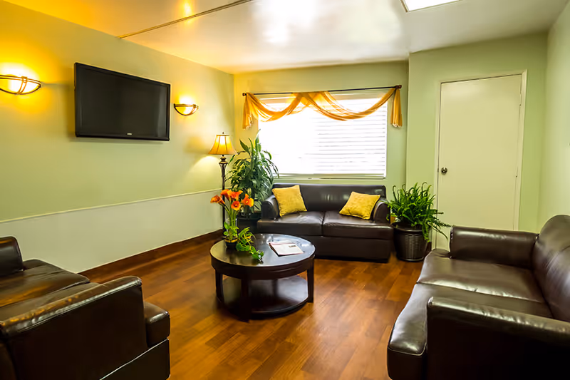 A cozy living room with light green walls, wooden flooring, and three dark brown leather sofas arranged around a round wooden coffee table with a plant and magazines on it. There is a flat-screen TV mounted on the wall, two wall sconces, a floor lamp, a window with yellow curtains, and two potted plants near the window and door.
