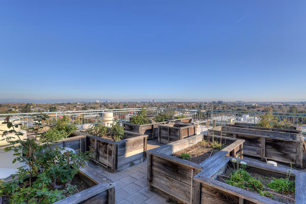 Rooftop garden with multiple wooden planter boxes containing various plants and flowers, overlooking a cityscape under a clear blue sky.