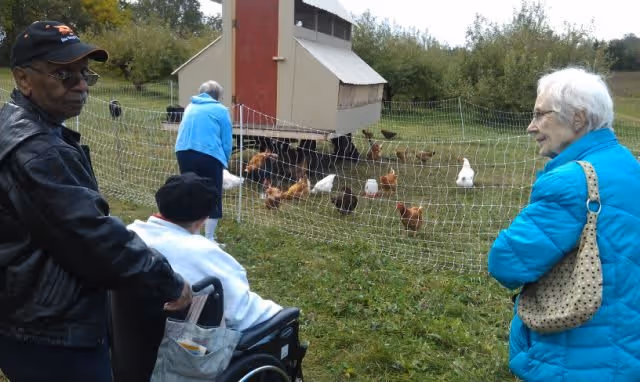 Three elderly individuals, one in a wheelchair and two standing, observe chickens inside a fenced area near a small chicken coop in a grassy outdoor setting.