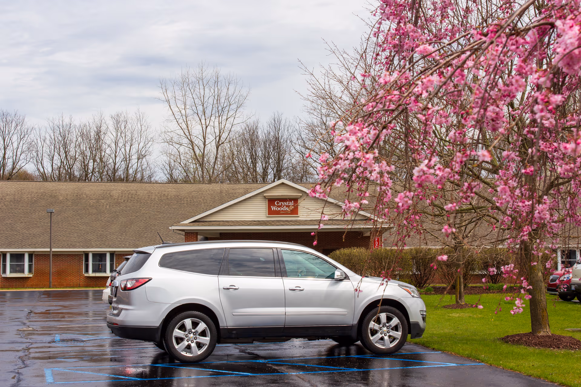 A silver SUV parked in a wet parking lot in front of a single-story brick building with a sign that reads 'Crystal Woods'. There are leafless trees in the background and a tree with pink blossoms in the foreground on the right side.
