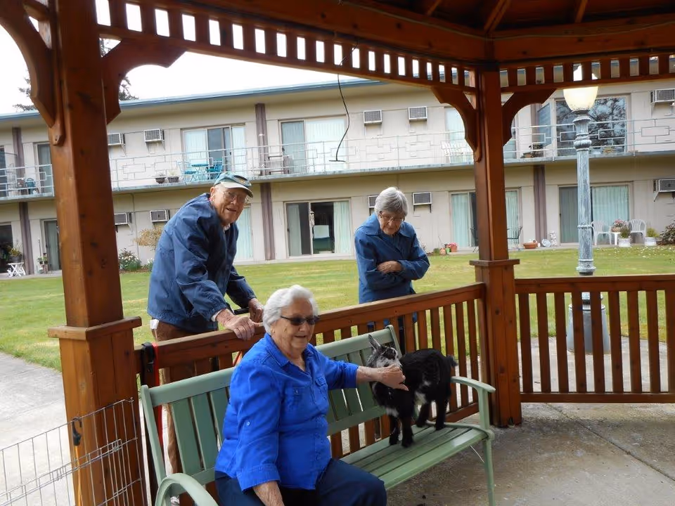 Three elderly people interacting with a small black and white goat under a wooden gazebo in the courtyard of a retirement facility. The background shows a two-story building with balconies and sliding glass doors.