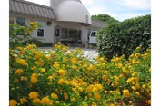 Entrance of a building with a white dome-shaped awning above the door, surrounded by green bushes and yellow flowering plants in the foreground under a partly cloudy sky.