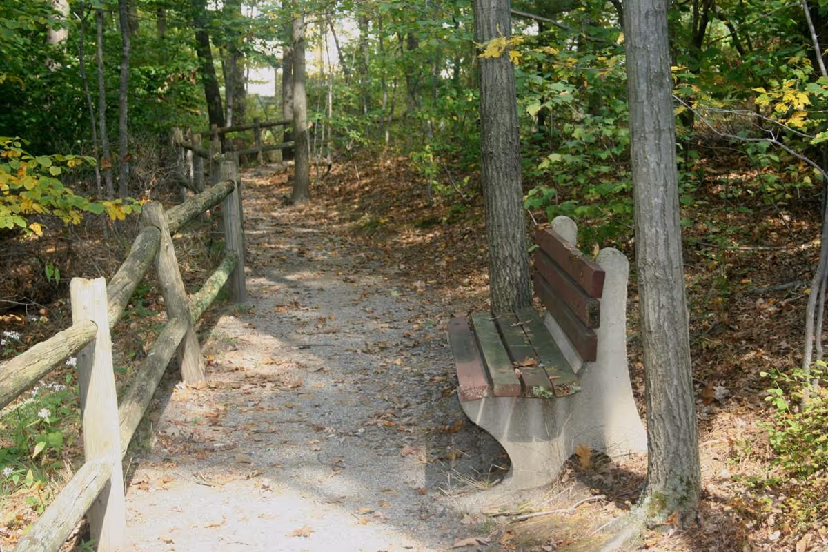 A wooded outdoor walking path with a rustic wooden fence on the left side and a wooden bench with concrete supports on the right side, surrounded by trees and greenery.