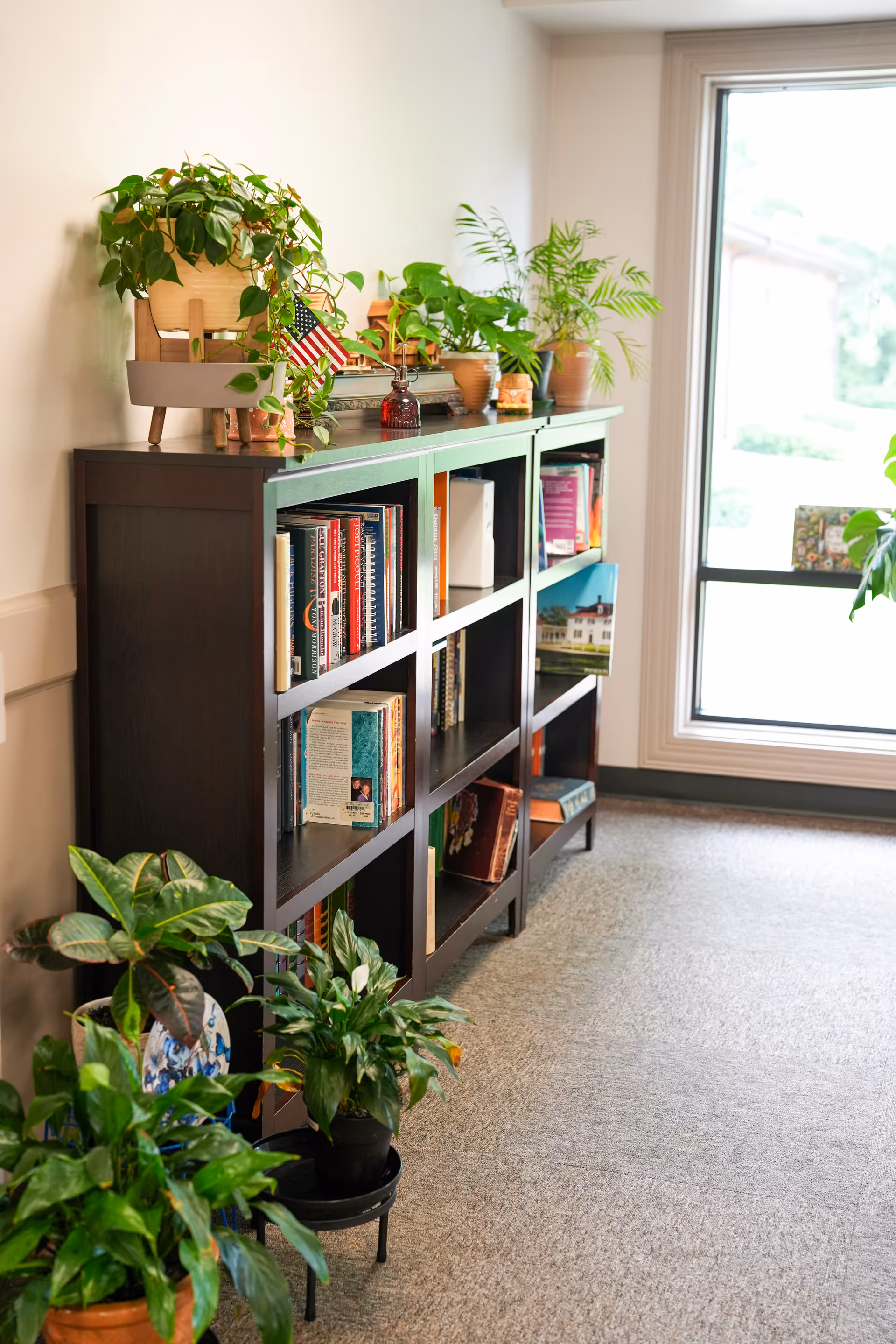 A dark wooden bookshelf filled with books and decorative items, topped with several potted plants and a small American flag. Additional potted plants are placed on the floor beside the bookshelf. A large window with white trim lets in natural light, illuminating the carpeted floor.