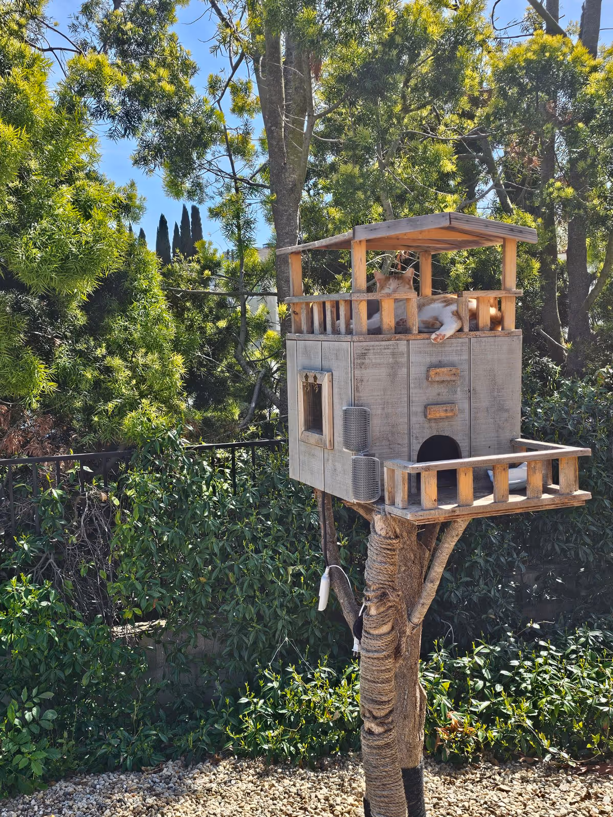 A wooden cat house elevated on a tree trunk in a garden with lush green trees and bushes in the background. Two cats are resting on the cat house, one lying on the top deck and the other partially visible inside the structure.