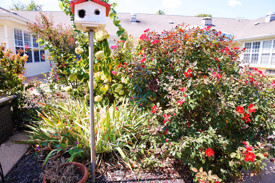 A garden area with a birdhouse on a tall pole surrounded by various plants and flowers, including red roses. In the background, there is a beige building with multiple windows under a clear sky.