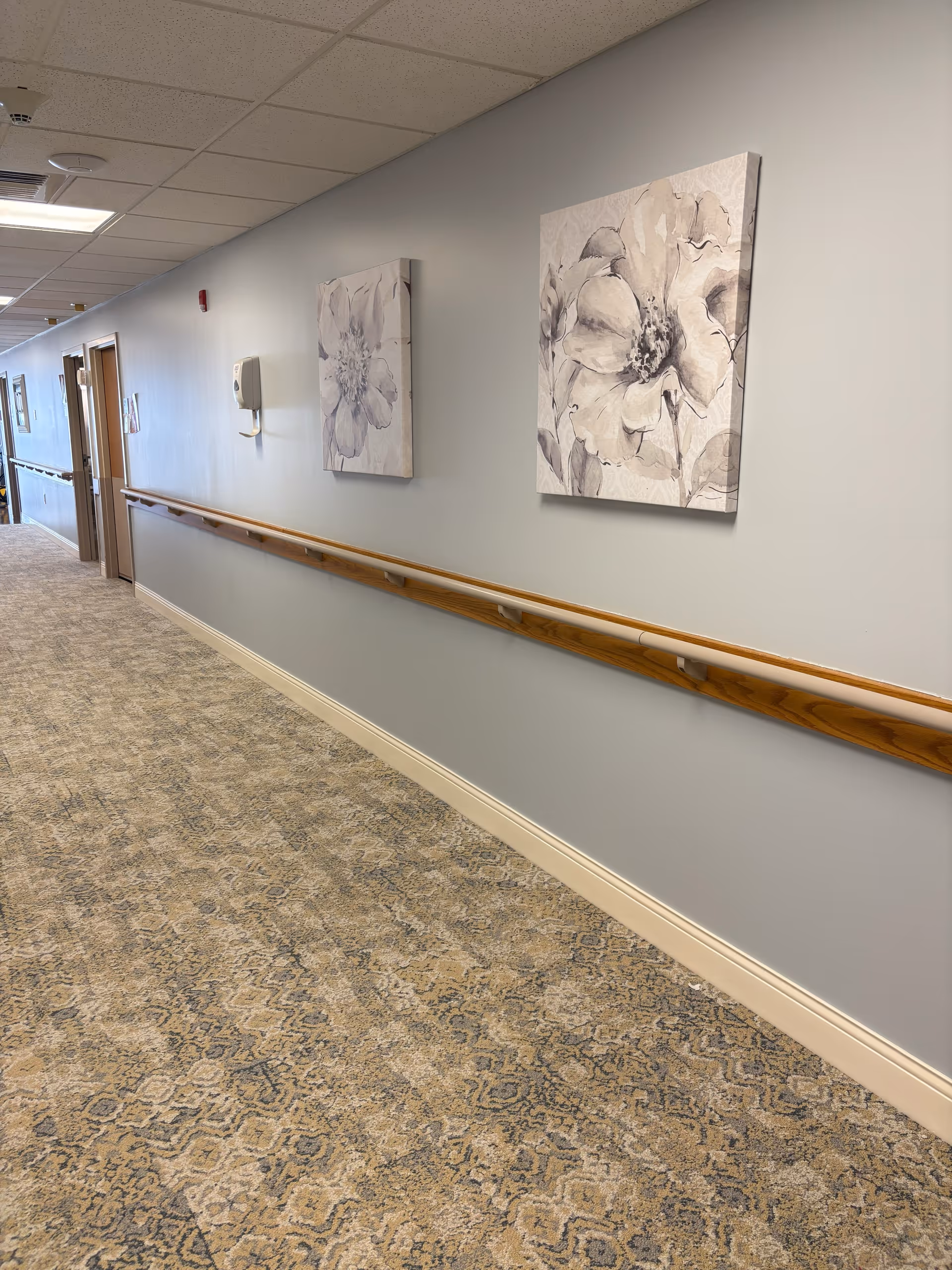 A carpeted hallway in a senior living facility with light gray walls, wooden handrails on the right side, and two large floral paintings hanging on the wall. Several doors and wall-mounted fixtures are visible along the hallway.