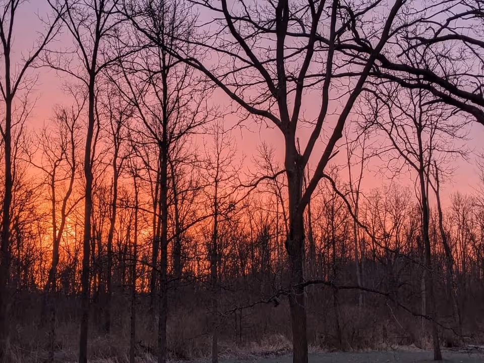 A scenic view of leafless trees silhouetted against a vibrant sunset sky with shades of orange, pink, and purple.