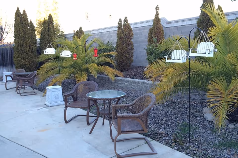 Outdoor patio area with a concrete floor, featuring several brown wicker chairs and a small round glass-top table. The area is decorated with palm plants and tall evergreen shrubs along a stone wall. There are bird feeders hanging from black metal stands.