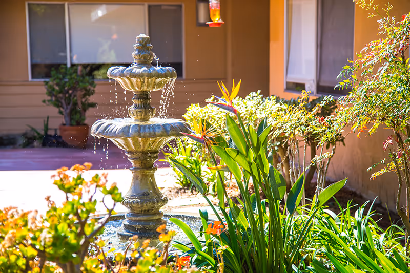 A three-tiered stone water fountain surrounded by green plants and flowers in a sunny courtyard area with building windows and walls in the background.