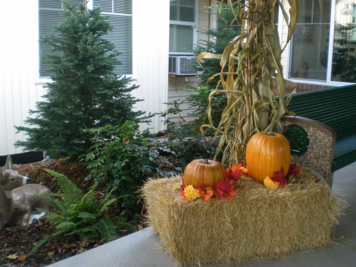 Hay bale decorated with pumpkins, artificial fall leaves and cornstalks beside a bench in a courtyard with evergreen shrubs and a building facade.