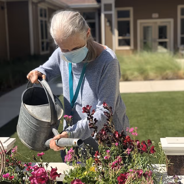 An elderly woman wearing a face mask and a light blue sweater waters flowers in a garden using a metal watering can. She is outdoors in a courtyard area with grass and a building in the background.