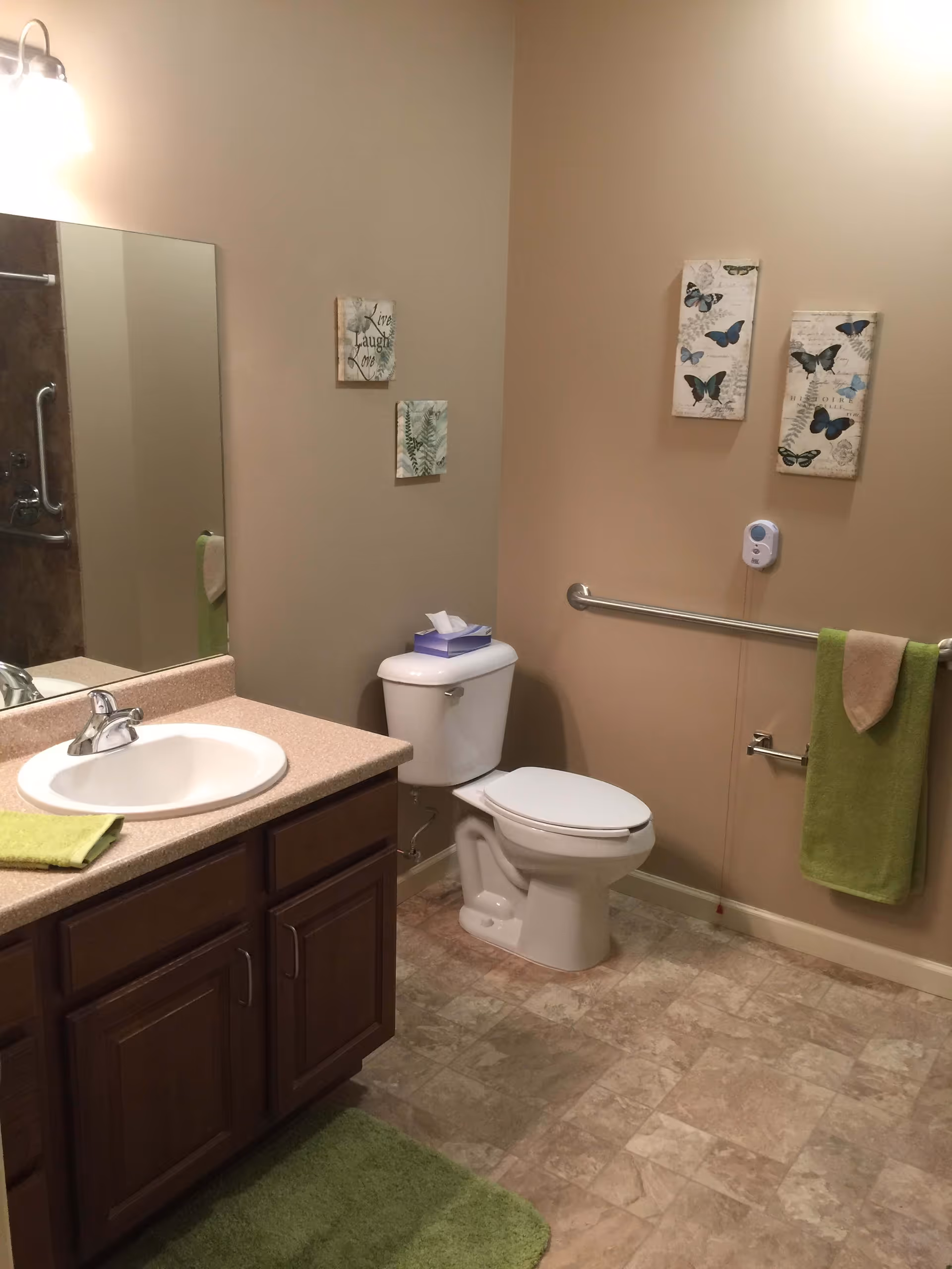 A bathroom with a white toilet, a sink with a countertop and wooden cabinets, a large mirror above the sink, green towels hanging on a grab bar, and decorative butterfly and plant-themed wall art. The floor has a light-colored tile pattern and there is a green bath mat on the floor.
