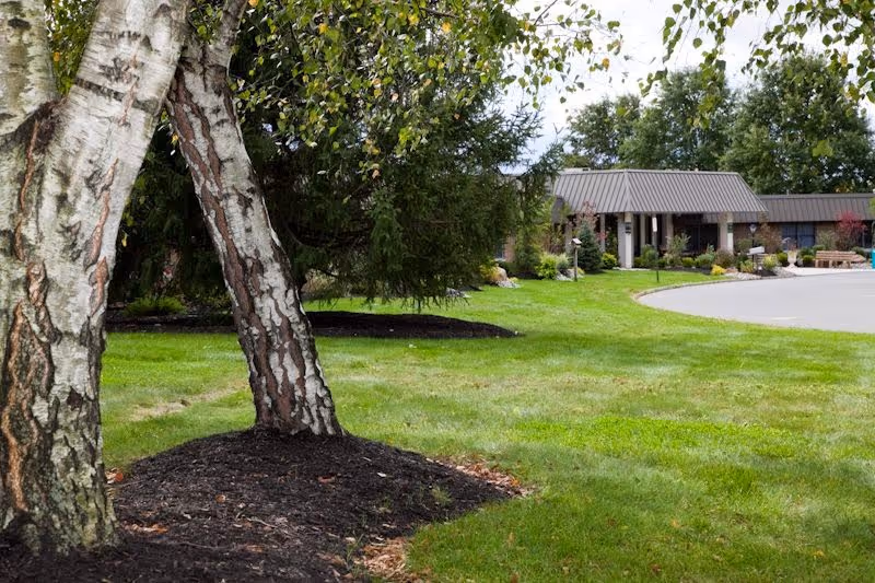 Landscaped lawn with birch trees in the foreground and the front entrance of a single-story care building in the background.