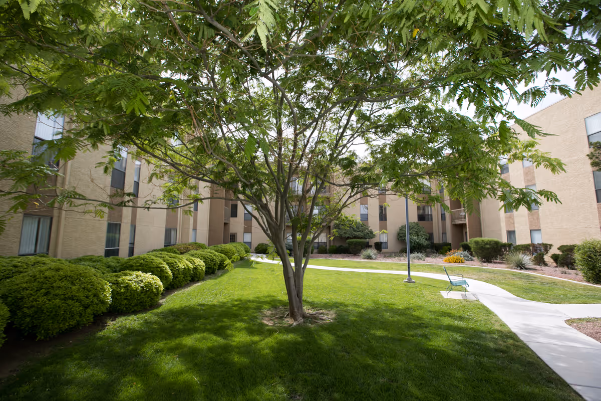 A courtyard area with a large tree in the center, surrounded by green grass, bushes, and a paved walkway. The courtyard is enclosed by a beige multi-story building with several windows. There is a bench near a lamppost along the walkway.