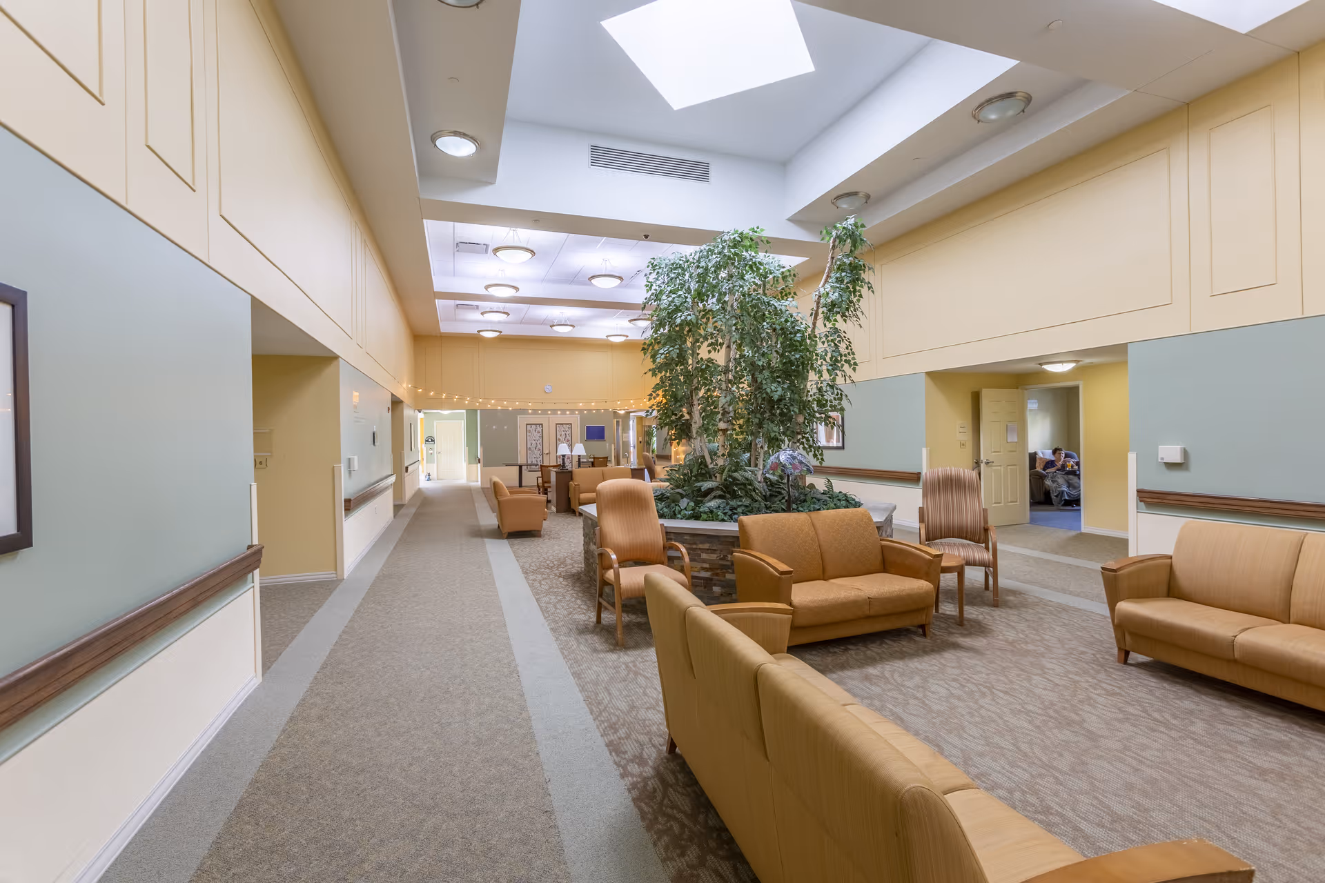 A spacious and well-lit common area in a senior living facility featuring multiple seating arrangements with beige and brown upholstered chairs and sofas. A large indoor plant centerpiece is surrounded by seating. The ceiling has skylights and recessed lighting, and the walls are painted in soft yellow and green tones. A hallway extends to the left and back, with doors leading to other rooms.
