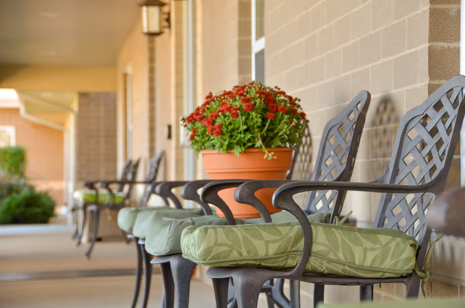 Row of metal patio chairs with green cushions and a potted red-flowering plant along a covered outdoor walkway.