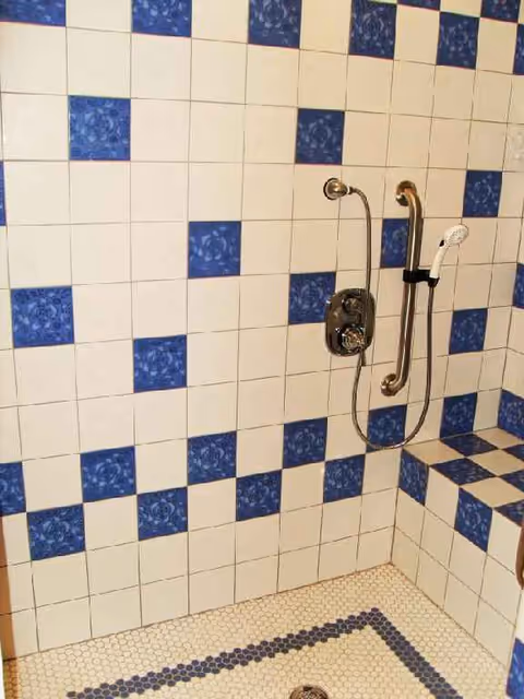 Blue and white tiled bathroom shower with a handheld showerhead and grab bars