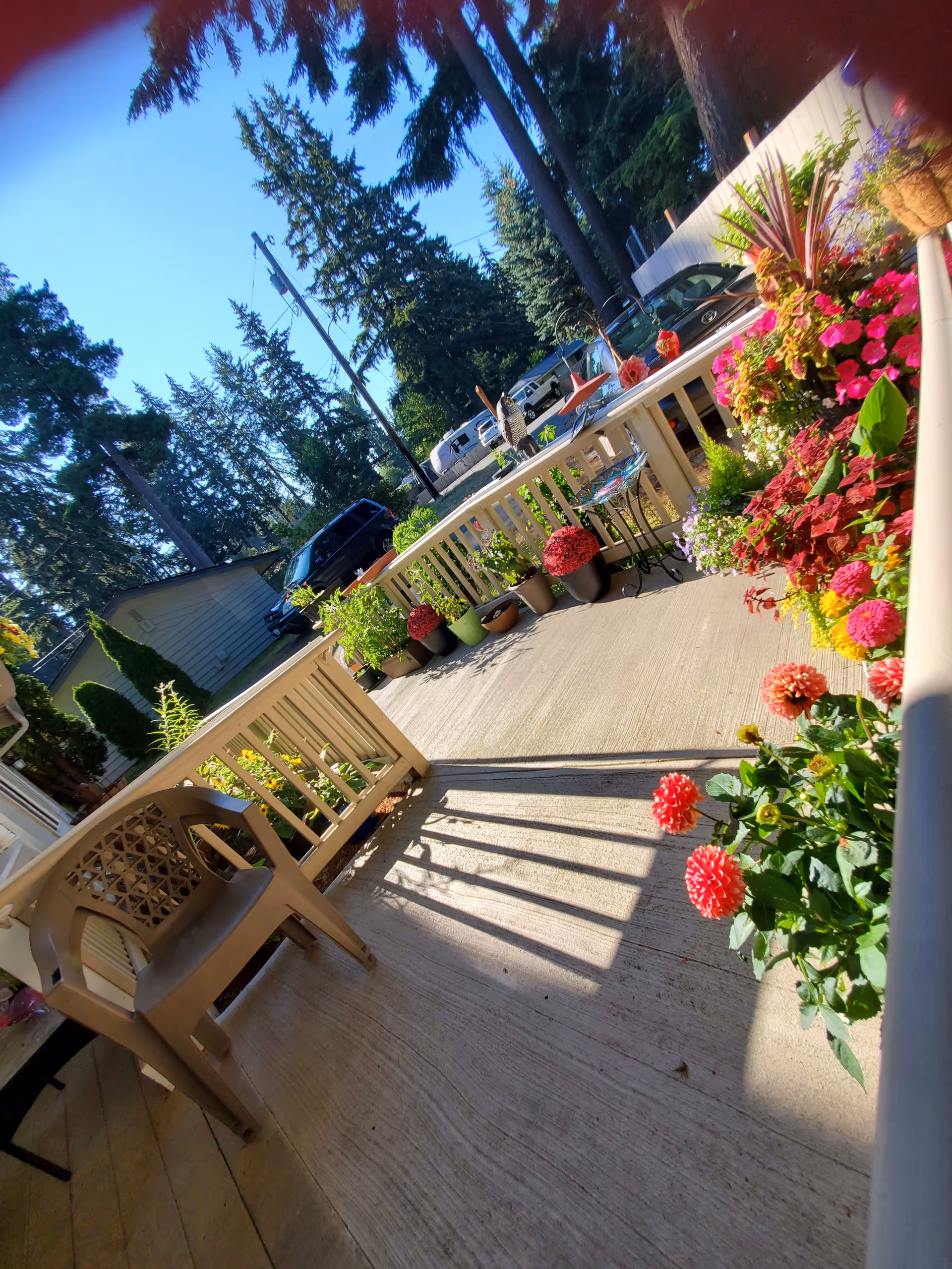 Sunlit front porch with potted flowers, a plastic chair and railing overlooking parked cars and tall trees.