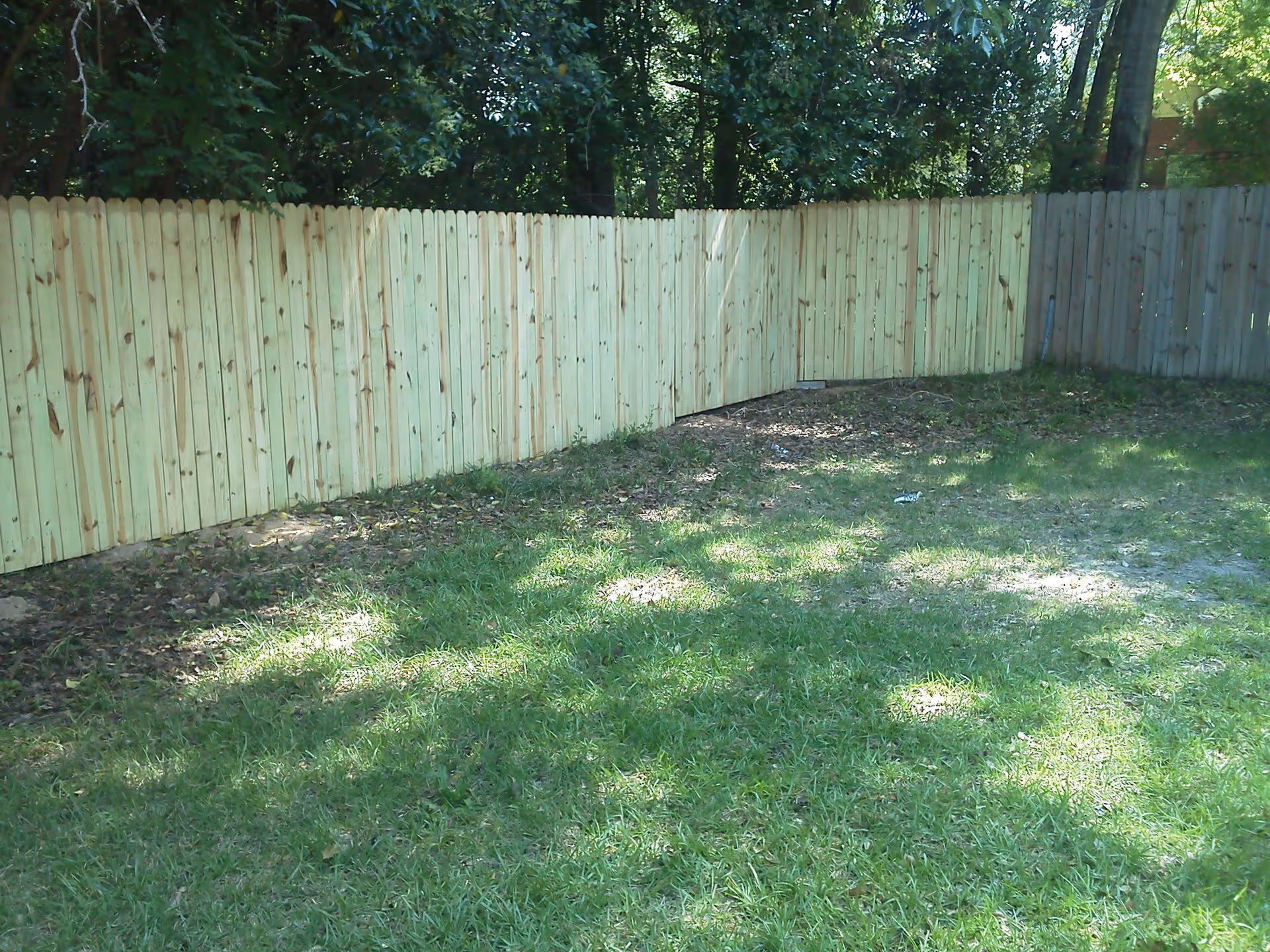 A backyard area with green grass and a newly installed wooden privacy fence. Trees and foliage are visible behind the fence, casting shadows on the grass.