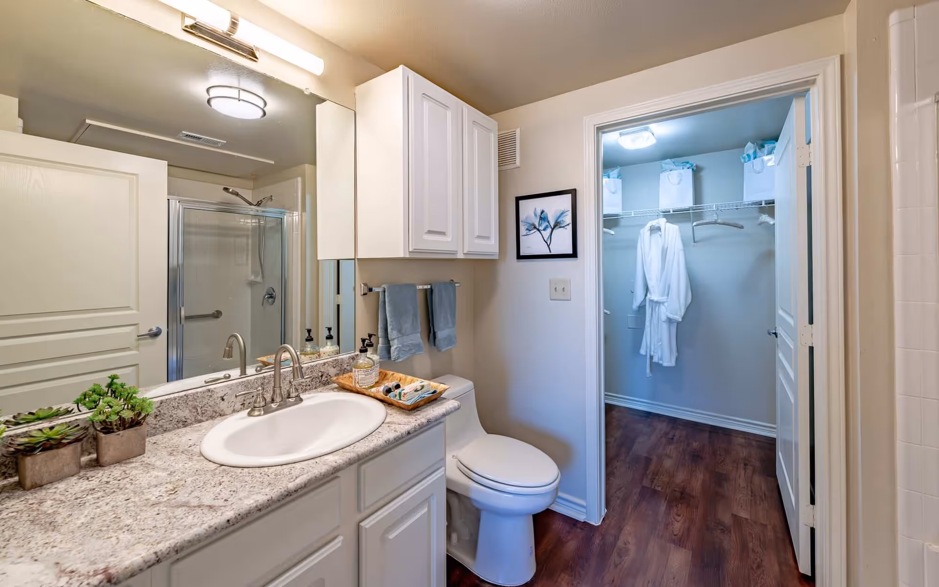 Bright bathroom with a marble countertop sink, toilet, glass shower, and an open walk-in closet with hanging robes.