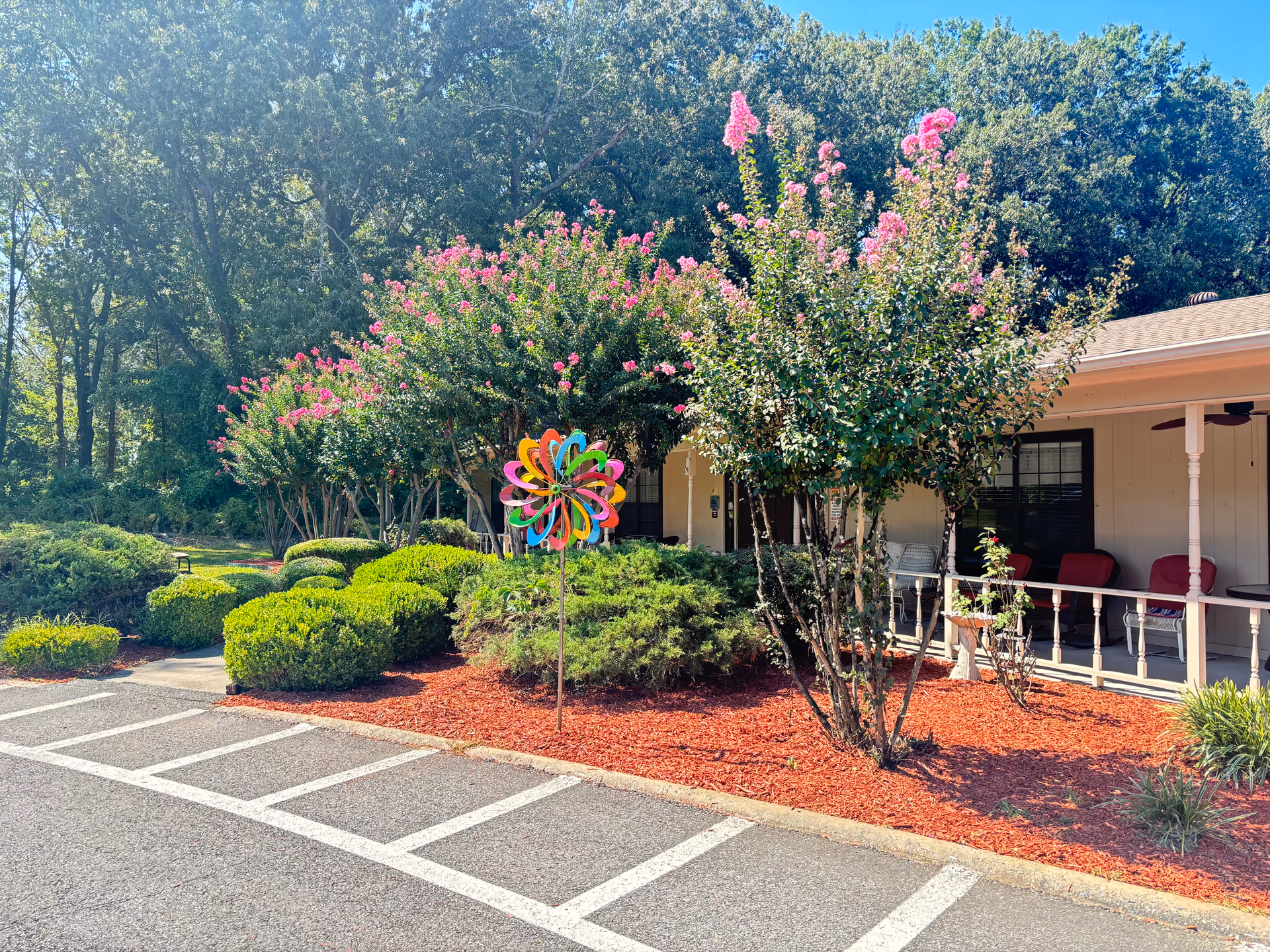 Exterior view of Jacksonville Care Center showing a landscaped garden with green bushes, pink flowering trees, and a colorful pinwheel decoration near a parking area. The building has a porch with white railings and red chairs.