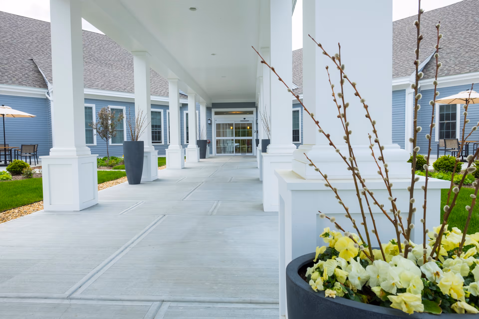A welcoming walkway lined with planters and greenery leading to the entrance of a senior living facility.