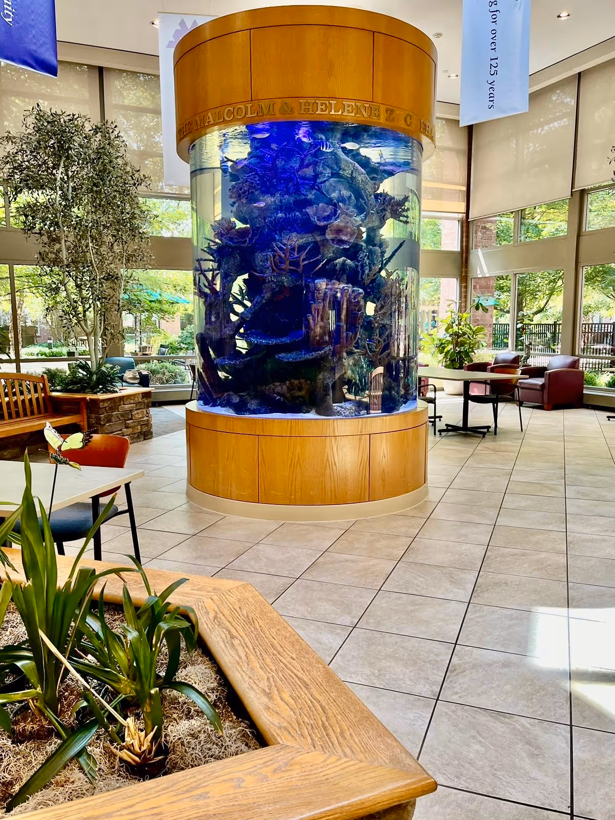 Interior view of a spacious common area in a senior living facility featuring a large cylindrical aquarium with coral decorations in the center. The room has large windows allowing natural light, several seating areas with chairs and tables, indoor plants, and tiled flooring.