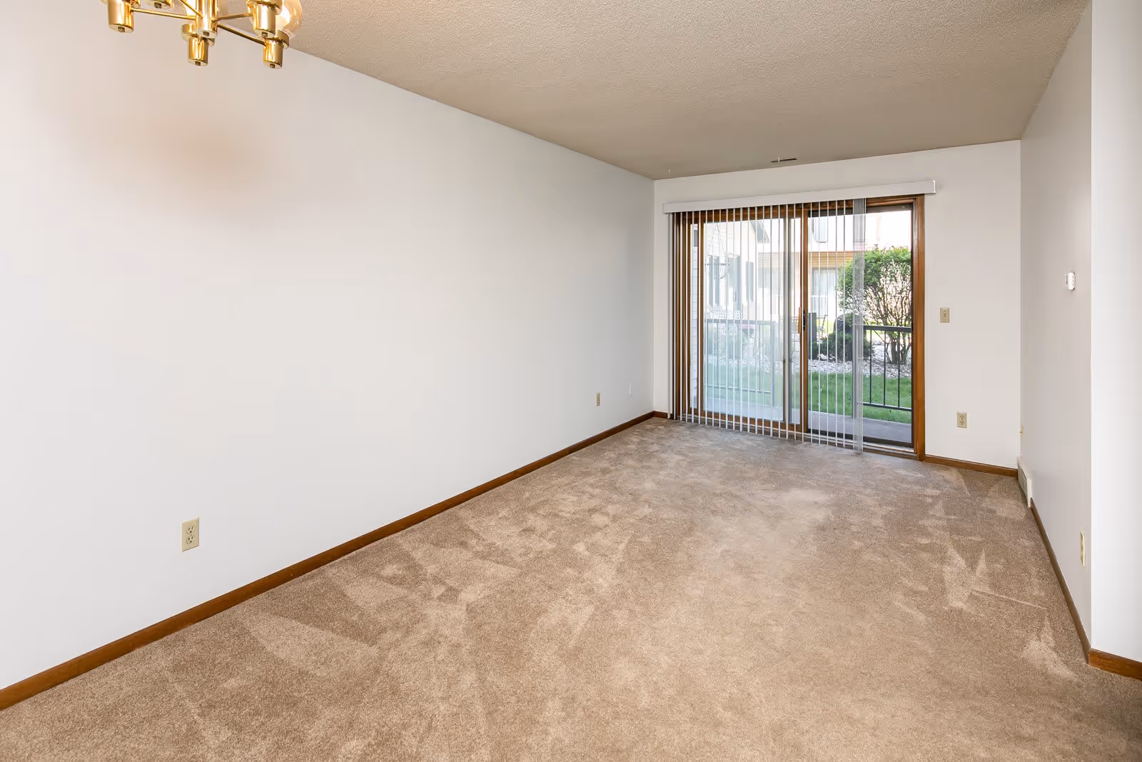 Empty room with beige carpet, white walls, a ceiling light fixture, and a sliding glass door with vertical blinds leading to an outdoor area with greenery.