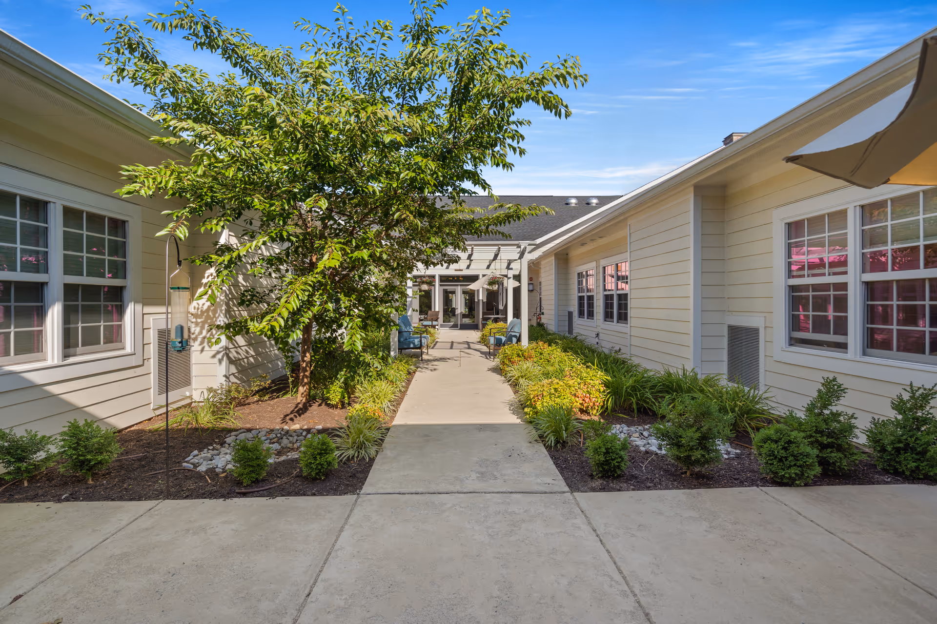 Outdoor courtyard area at Poet's Walk Leesburg, A Memory Care Community, featuring a concrete walkway flanked by landscaped garden beds with shrubs and a tree, surrounded by light-colored building walls with multiple windows under a clear blue sky.