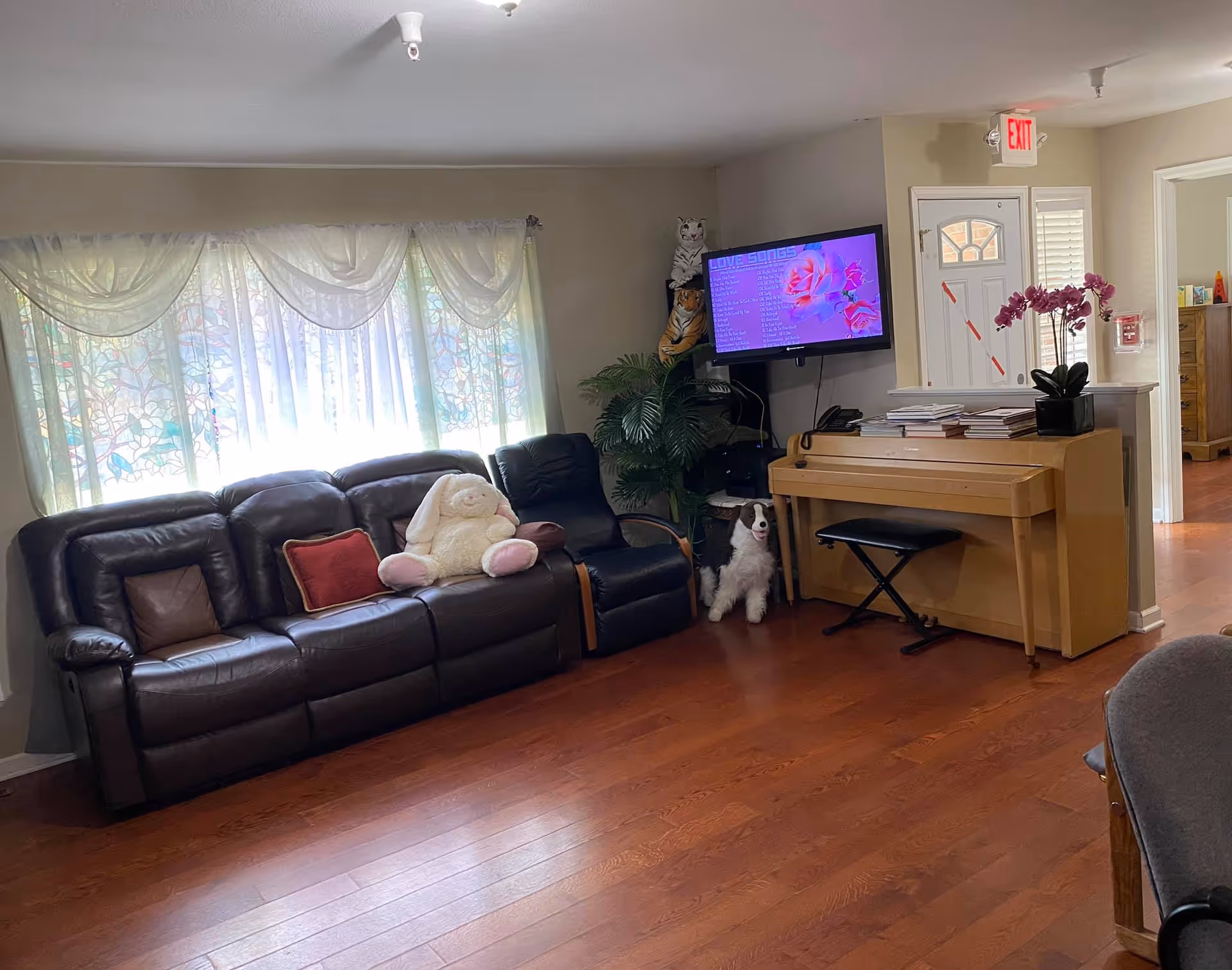 Living room area with a dark leather sofa, stuffed toys, a piano, wall-mounted TV and potted plants on hardwood floors.