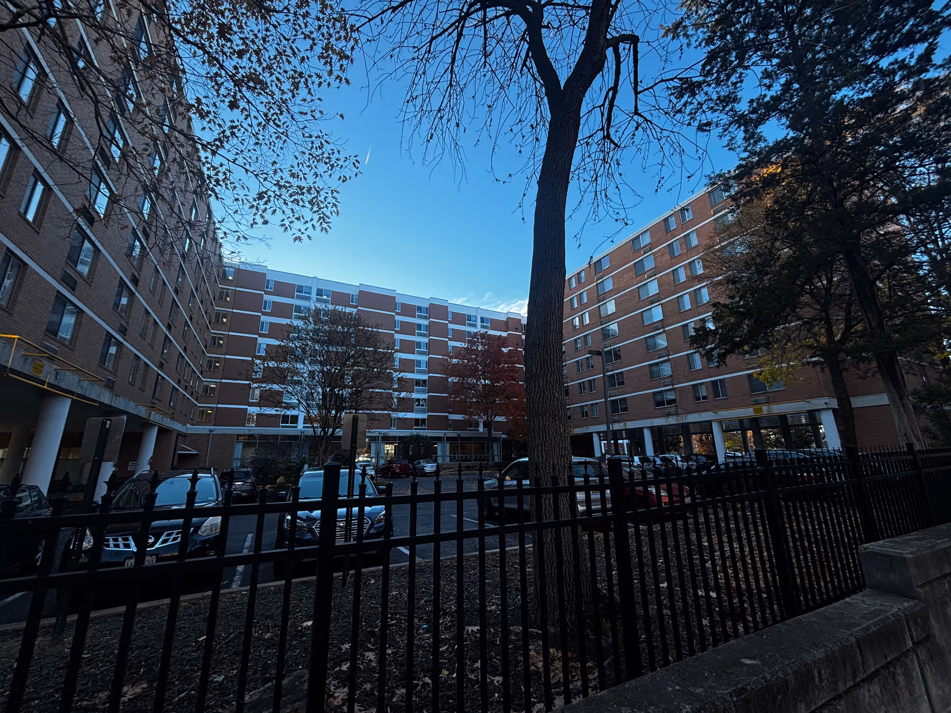 Exterior view of a multi-story brick building with several windows, surrounded by trees with some autumn leaves. There is a black metal fence in the foreground and a parking lot with several cars parked near the building under a clear blue sky.