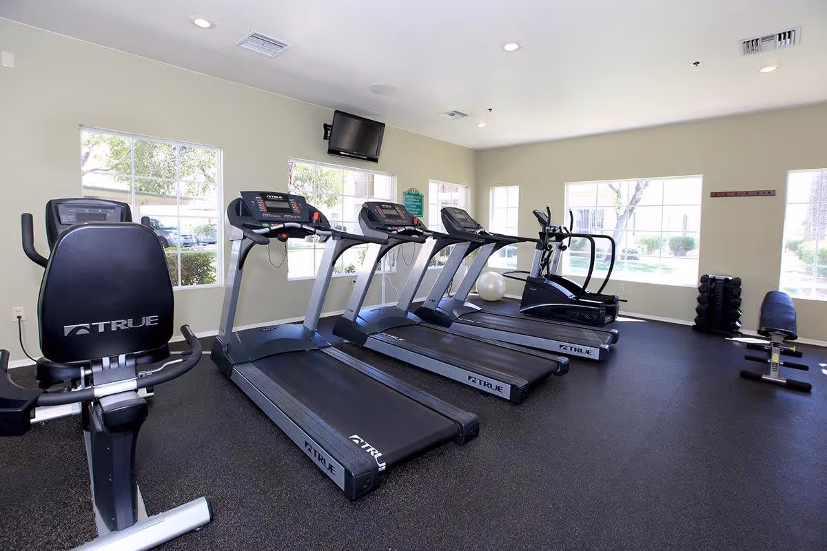 A bright fitness room with several exercise machines including a recumbent bike, three treadmills, and an elliptical machine. The room has large windows letting in natural light, a wall-mounted TV, a rack of dumbbells, and a workout bench.