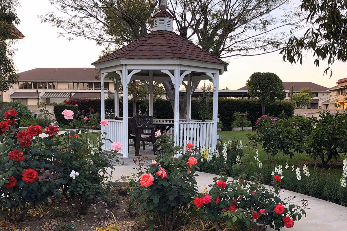 White wooden gazebo surrounded by rose bushes and a landscaped lawn with chairs inside.