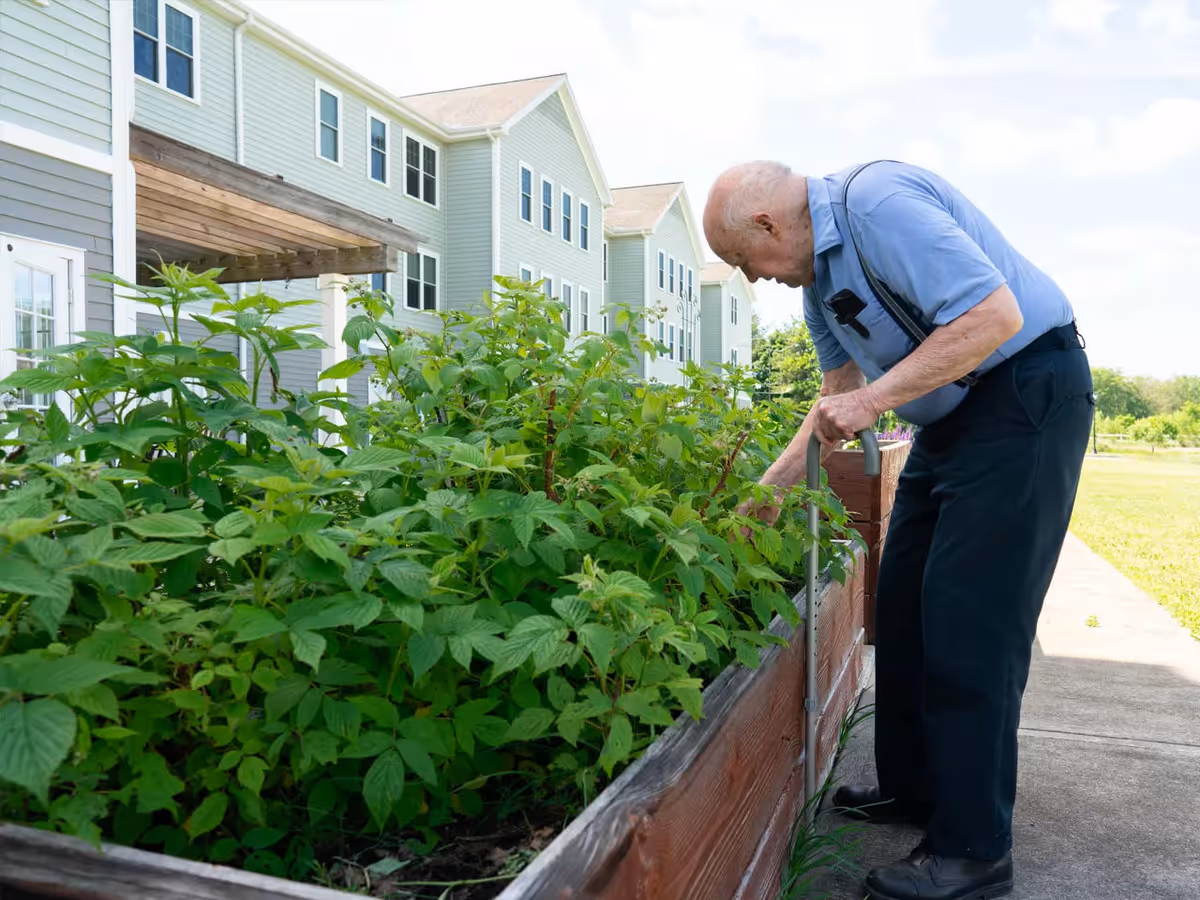 An elderly man with a cane tending to plants in a raised garden bed outside a multi-story assisted living facility on a sunny day.