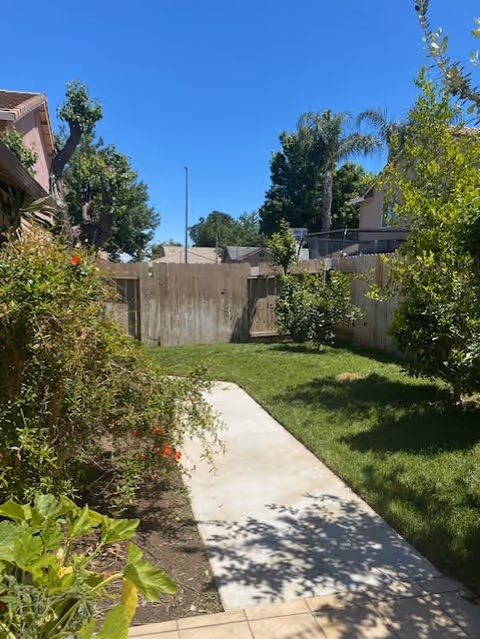 A sunlit fenced backyard with a concrete pathway, green lawn, and surrounding plants and trees under a clear blue sky.