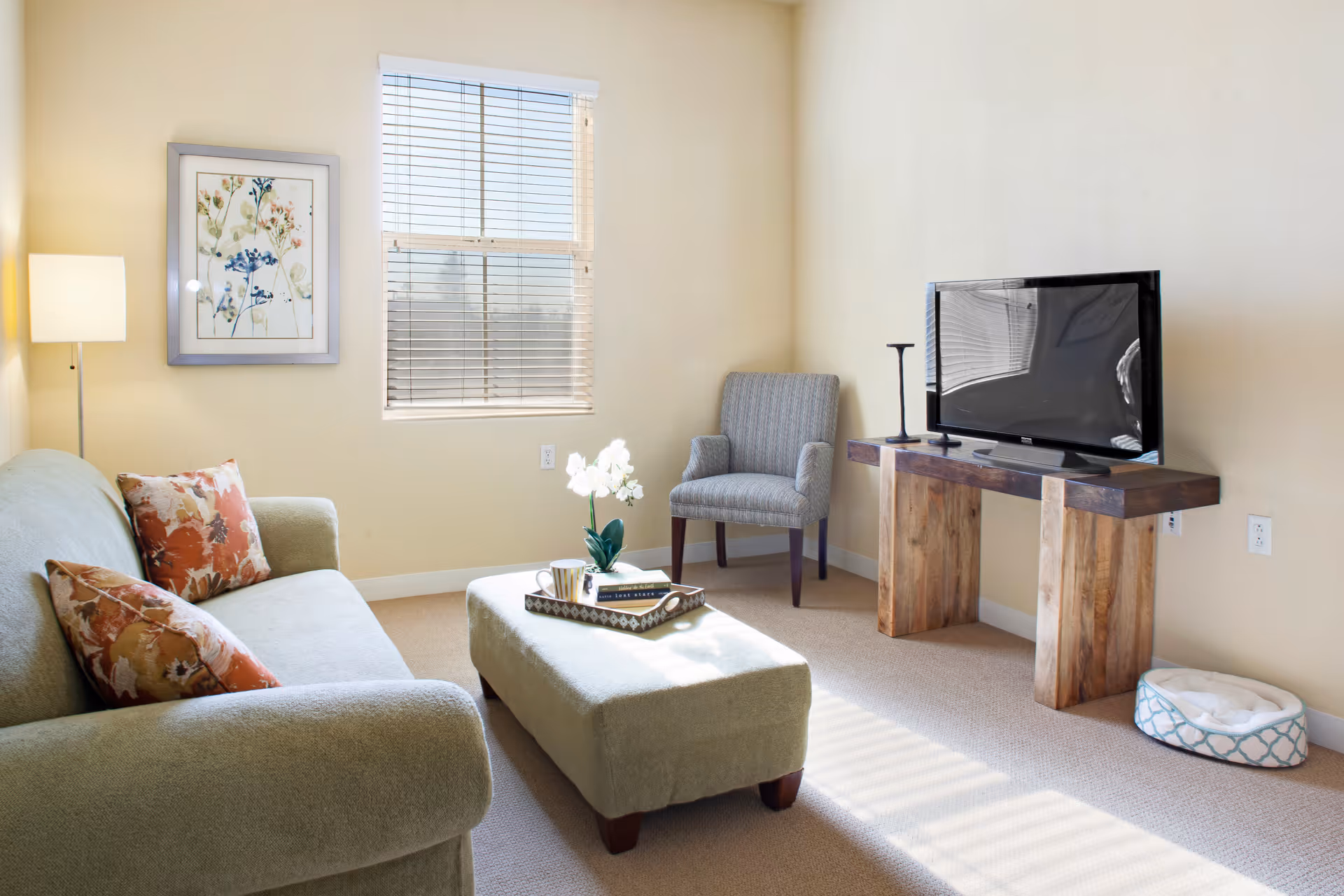 A cozy living room with a green sofa adorned with floral pillows, a matching ottoman with a tray holding a cup and a book, a gray armchair, a wooden TV stand with a flat-screen television, a floor lamp, a framed floral artwork on the wall, and a window with blinds letting in sunlight. A small pet bed is placed on the floor near the TV stand.