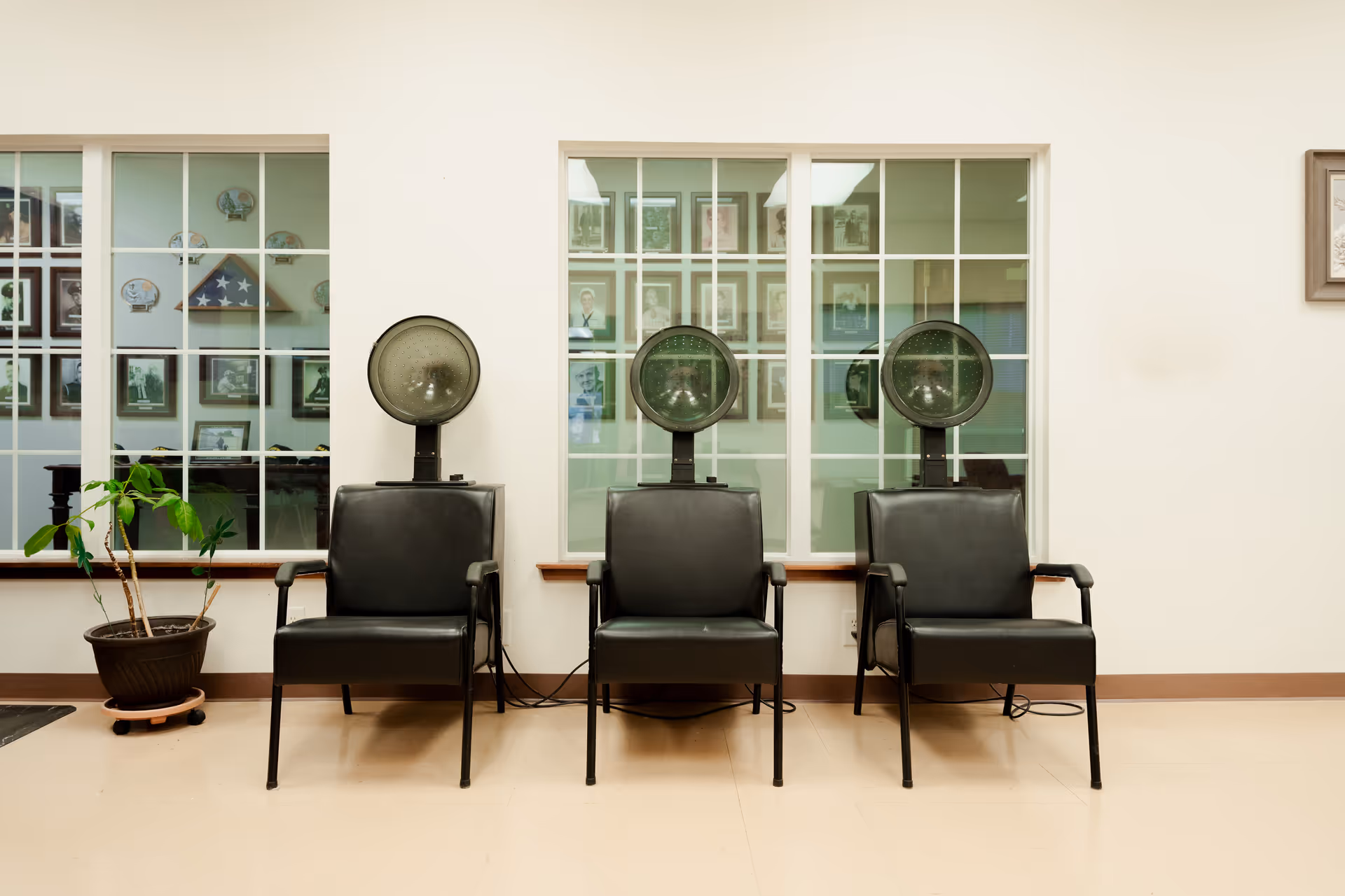 Three black salon chairs with attached vintage hair dryers in front of a wall with three large windows showing framed photos and memorabilia behind the glass. A potted plant is placed to the left of the chairs.