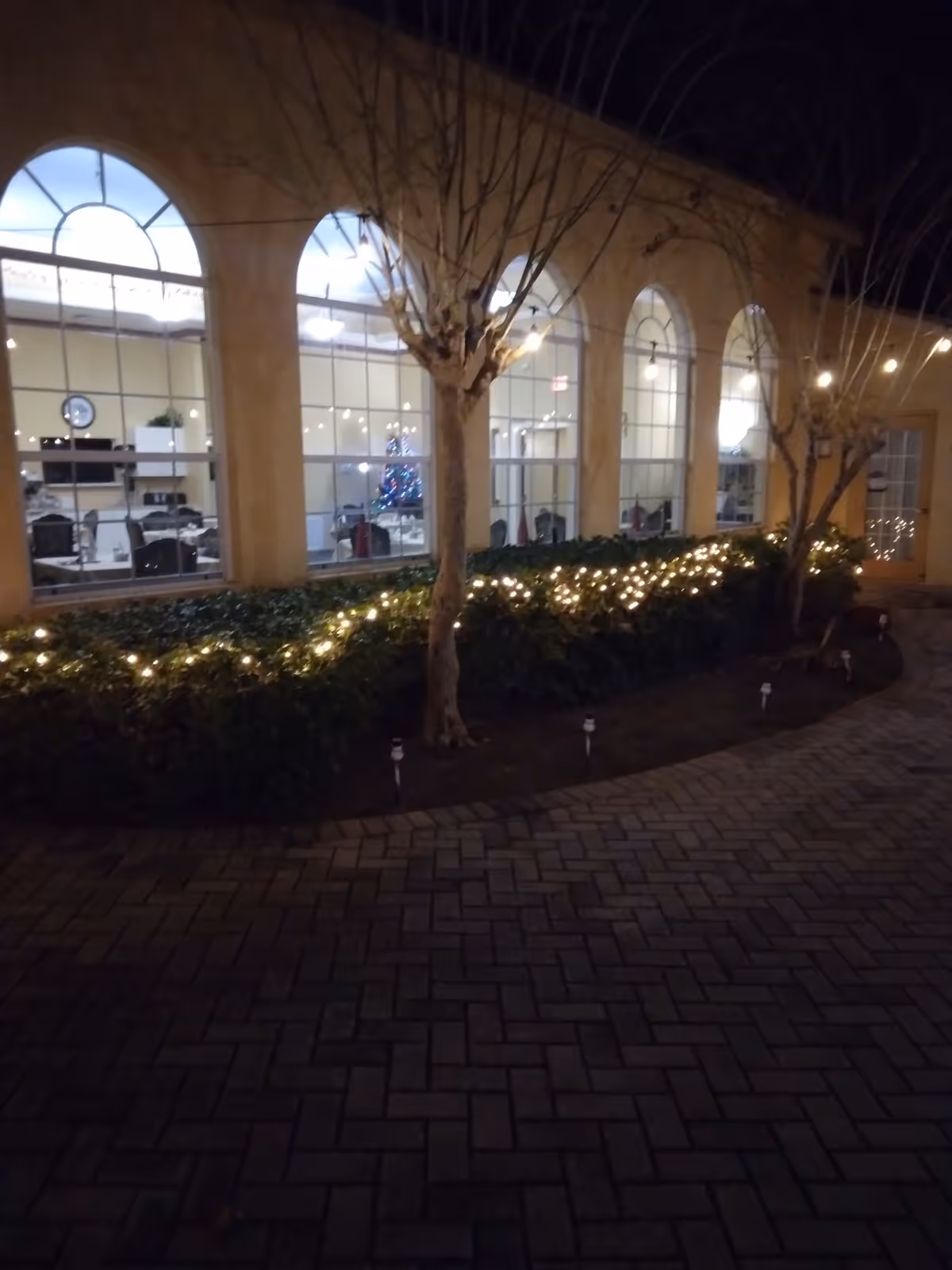 Night view of a building with arched windows showing lit interior and a Christmas tree, shrubs wrapped in string lights along a paved walkway.