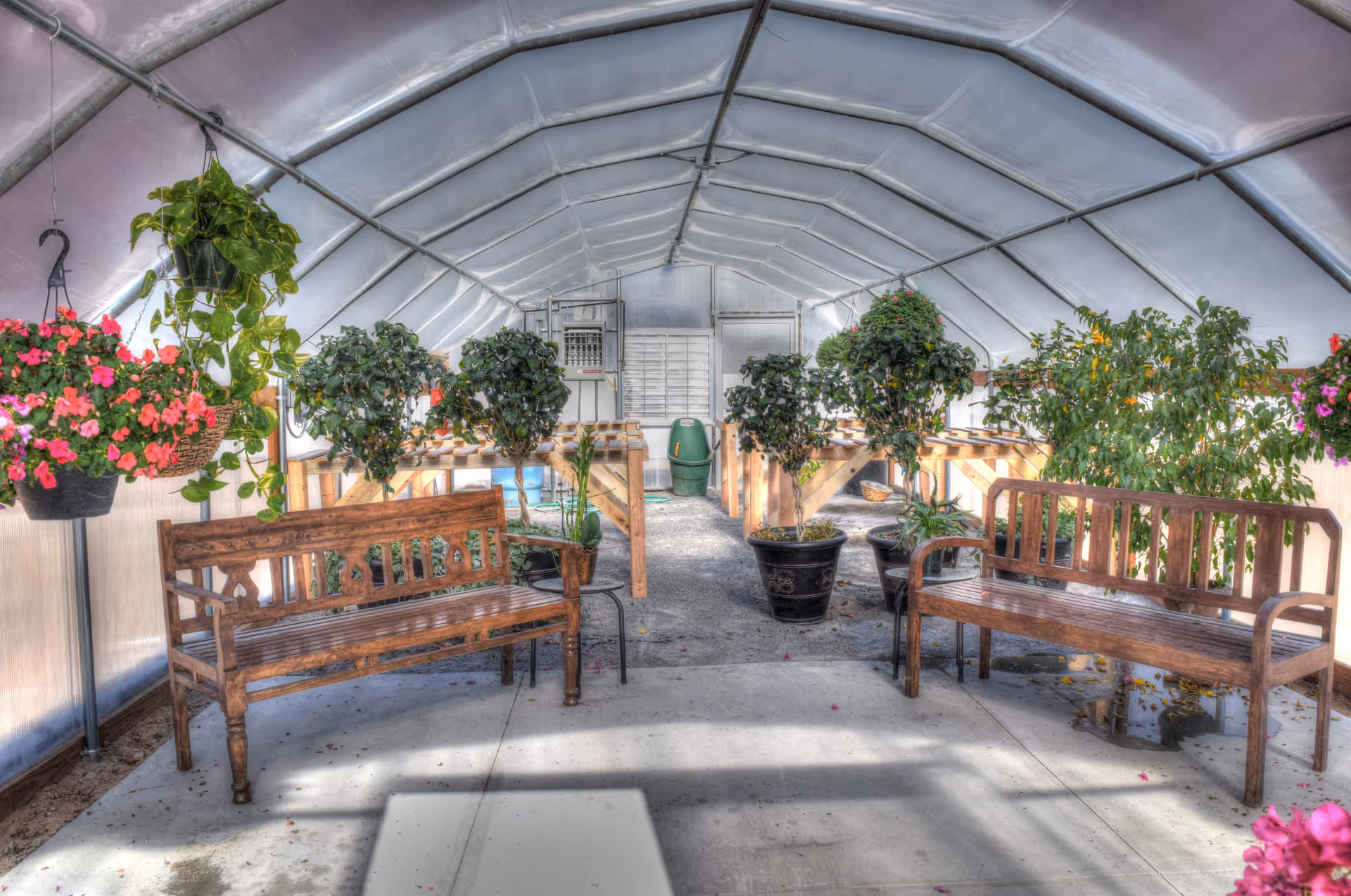 Interior view of a greenhouse with a curved translucent roof, containing several potted plants and hanging flower baskets. Two wooden benches are positioned facing each other along a concrete pathway inside the greenhouse.