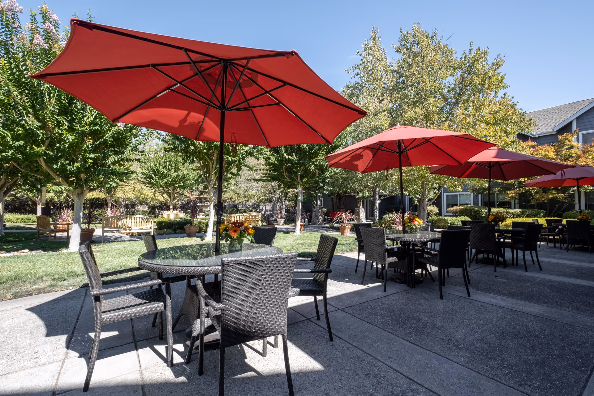 Outdoor patio area with multiple round glass tables and black wicker chairs, each table shaded by large red umbrellas. The patio is surrounded by green grass, trees, and potted plants with flowers. In the background, there are benches and a building with windows under a clear blue sky.