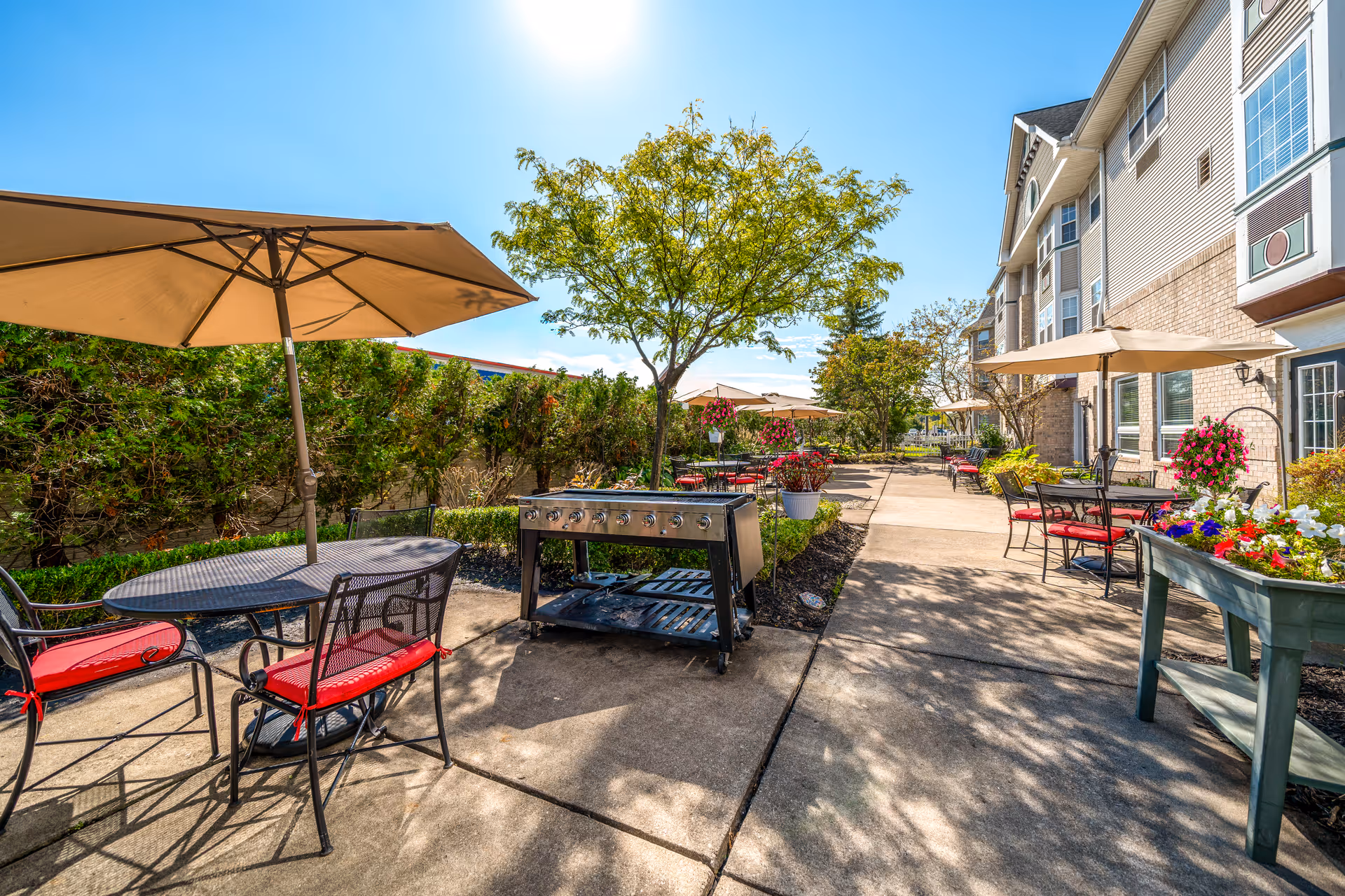 Outdoor patio area at Waltonwood Royal Oak with multiple tables and chairs featuring red cushions, large beige umbrellas providing shade, a barbecue grill, and flower planters along a paved walkway next to a multi-story building under a clear blue sky.