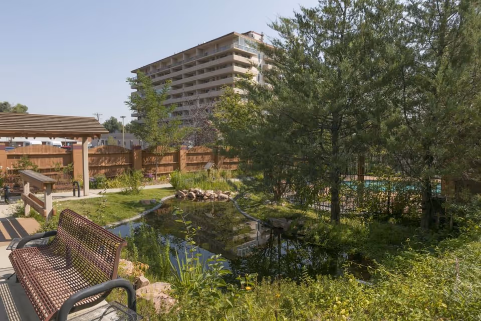 Outdoor garden area with a wooden bench, a small pond surrounded by greenery, trees, and a wooden fence. In the background, there is a multi-story building under a clear blue sky.