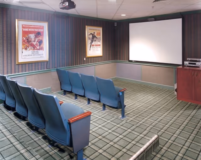 Small movie theater room with two rows of blue cushioned seats facing a large white projection screen. The walls are decorated with framed vintage movie posters, and there is a carpeted floor with a plaid pattern. A projector is mounted on the ceiling, and a wooden cabinet with electronic equipment is on the right side.
