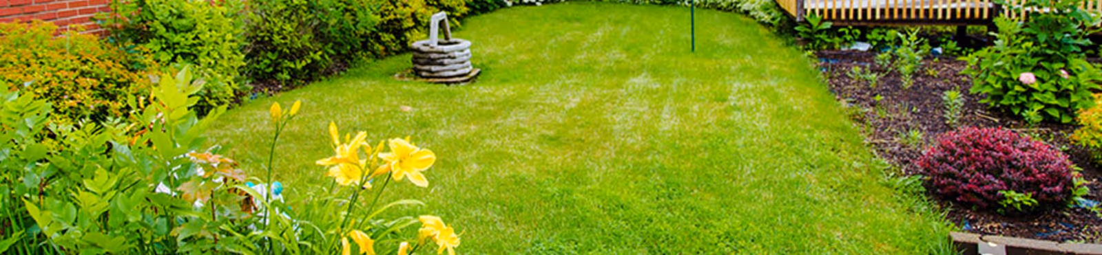 A well-maintained garden area with green grass, yellow flowers, various shrubs, and a small stone well decoration. There is a wooden bench visible in the background on the right side.