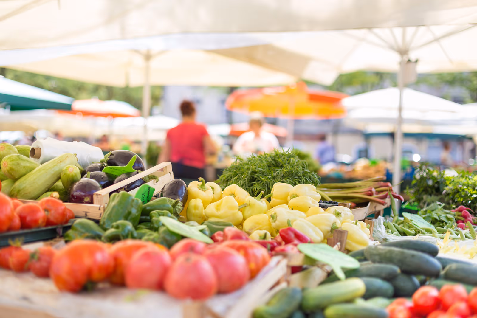 Outdoor farmers' market stall displaying assorted fresh vegetables like tomatoes, peppers, cucumbers and eggplant with blurred shoppers and umbrellas in the background.