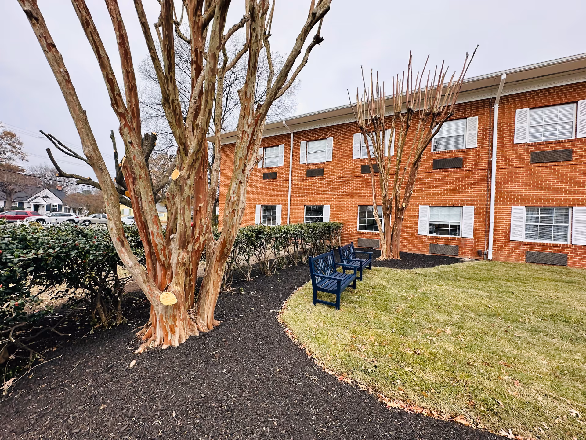 Outdoor area of a senior living facility showing a brick building with white window shutters, two blue benches on a grassy lawn, and several pruned trees with mulch beds around them.