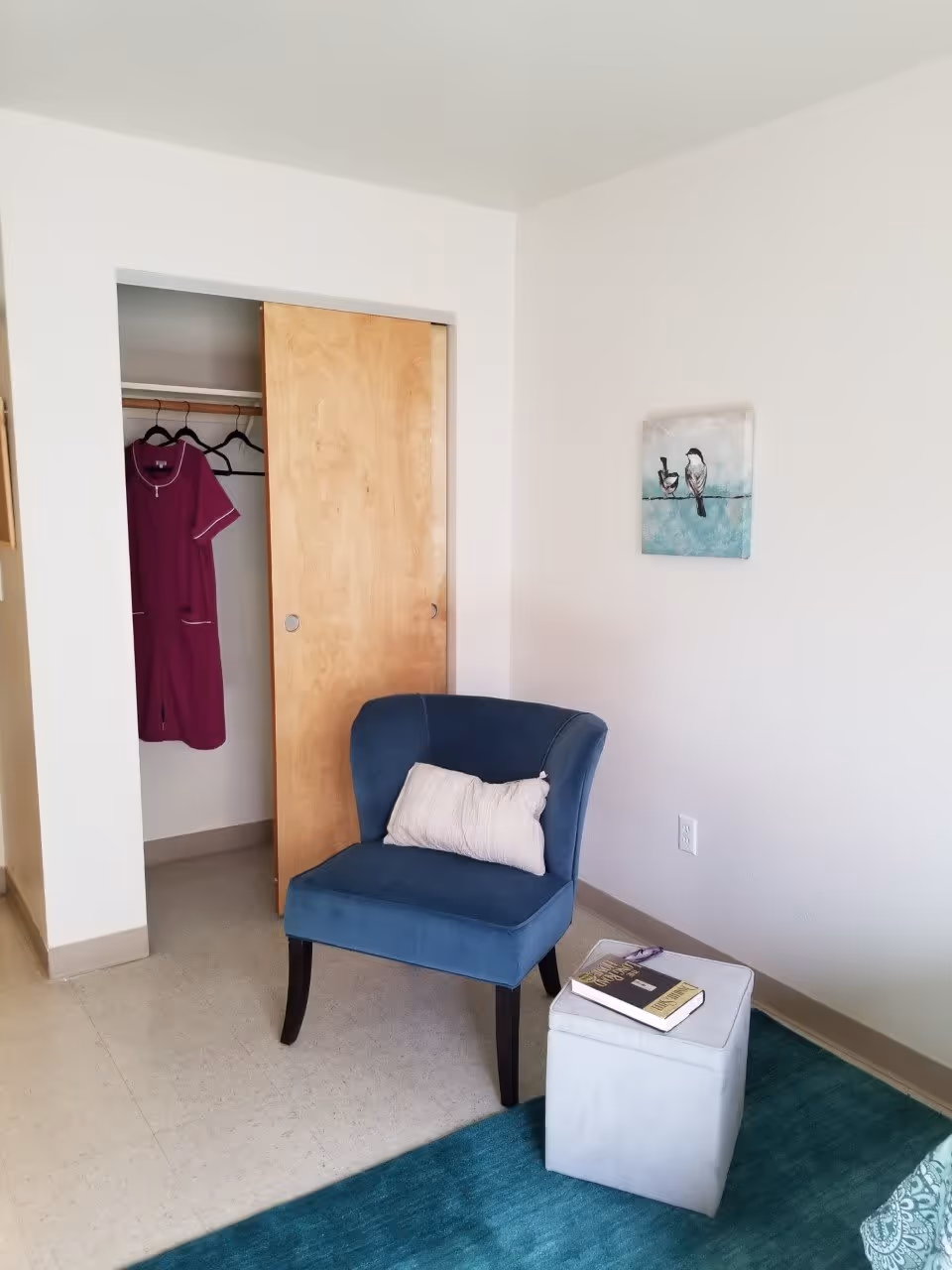 A small room corner featuring a blue upholstered chair with a white pillow, a light gray ottoman with a book and glasses on top, a partially open wooden closet door revealing a hanging purple garment, and a wall decoration depicting two birds on a wire.